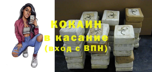 трава Осинники