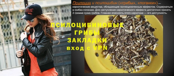 трава Осинники