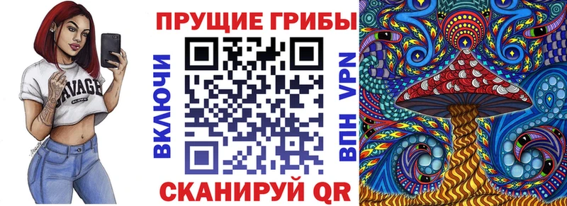 магазин    Кузнецк  Галлюциногенные грибы мицелий 