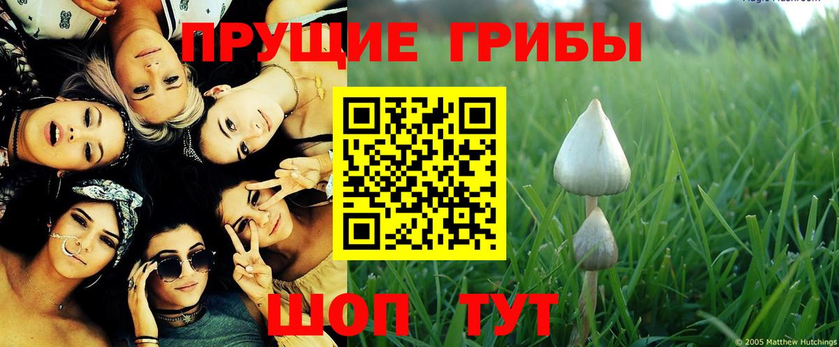 Псилоцибиновые грибы MAGIC MUSHROOMS  Кузнецк 