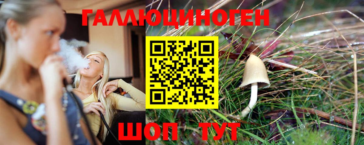 Галлюциногенные грибы прущие грибы Кузнецк