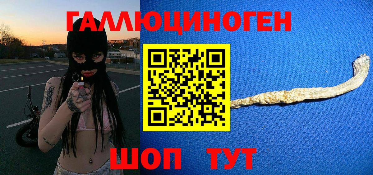 Кузнецк  Галлюциногенные грибы мицелий  Галлюциногенные грибы Psilocybine cubensis  Вход с VPN 