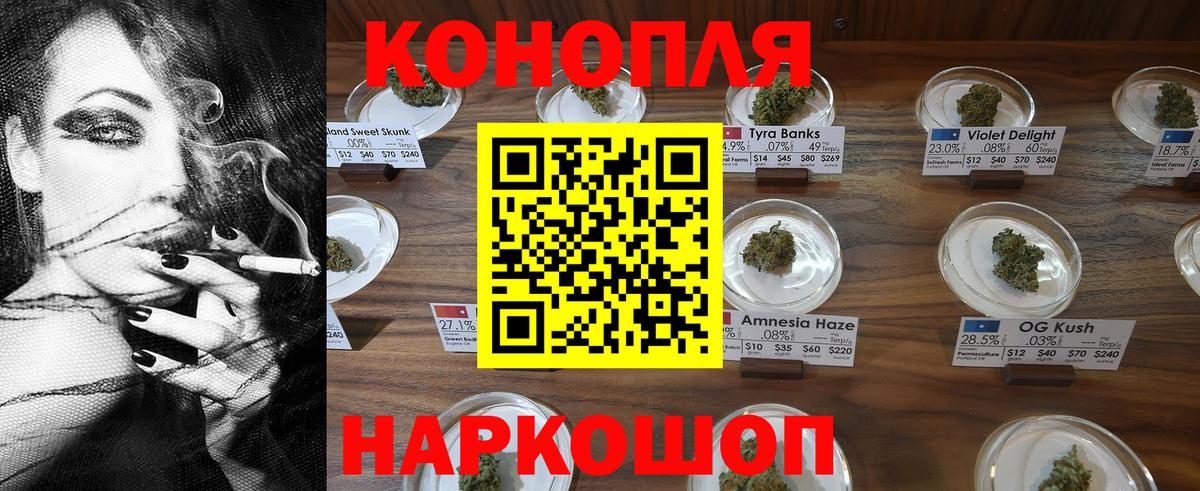 Бошки Шишки марихуана  Бошки марихуана Amnesia  Кузнецк  Марихуана OG Kush 